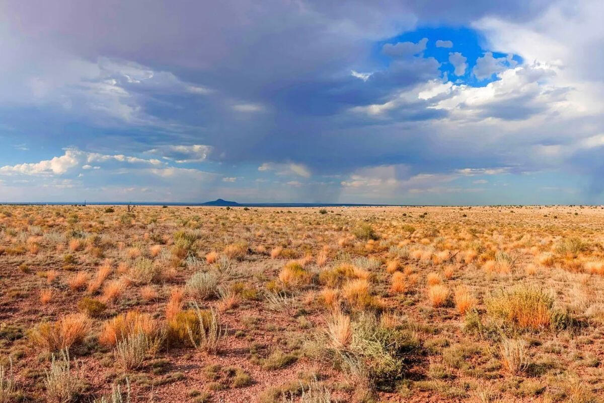 Smaller Rectangle - S Colgate St, Williams, AZ