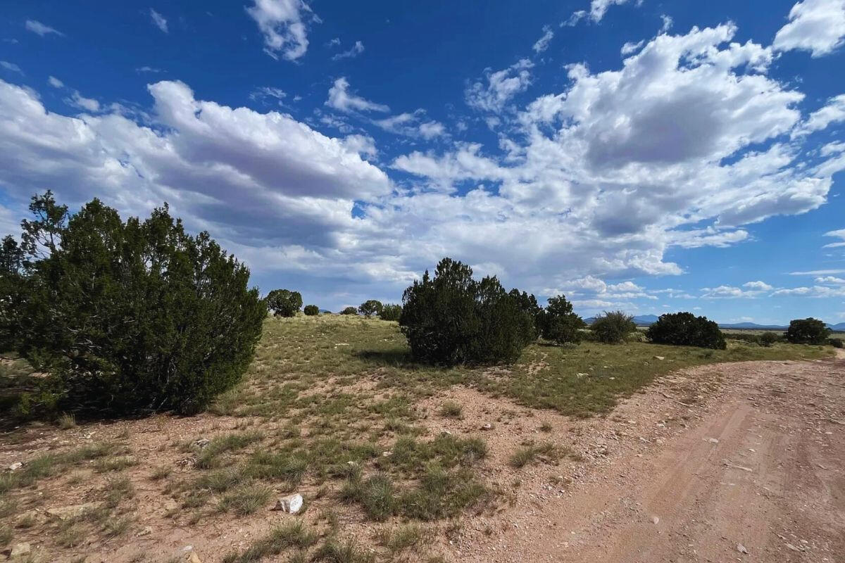 Smaller Rectangle - S Colgate St, Williams, AZ