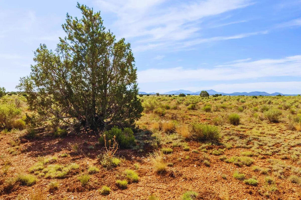 Smaller Rectangle - S Colgate St, Williams, AZ